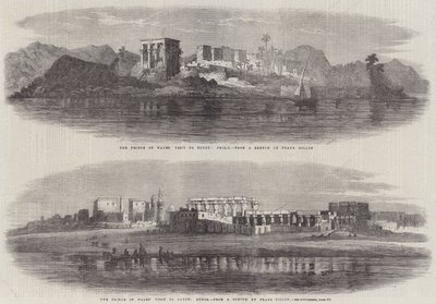 The Prince of Wales
